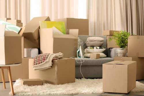 Bubble wrap and protective materials used for fragile packing